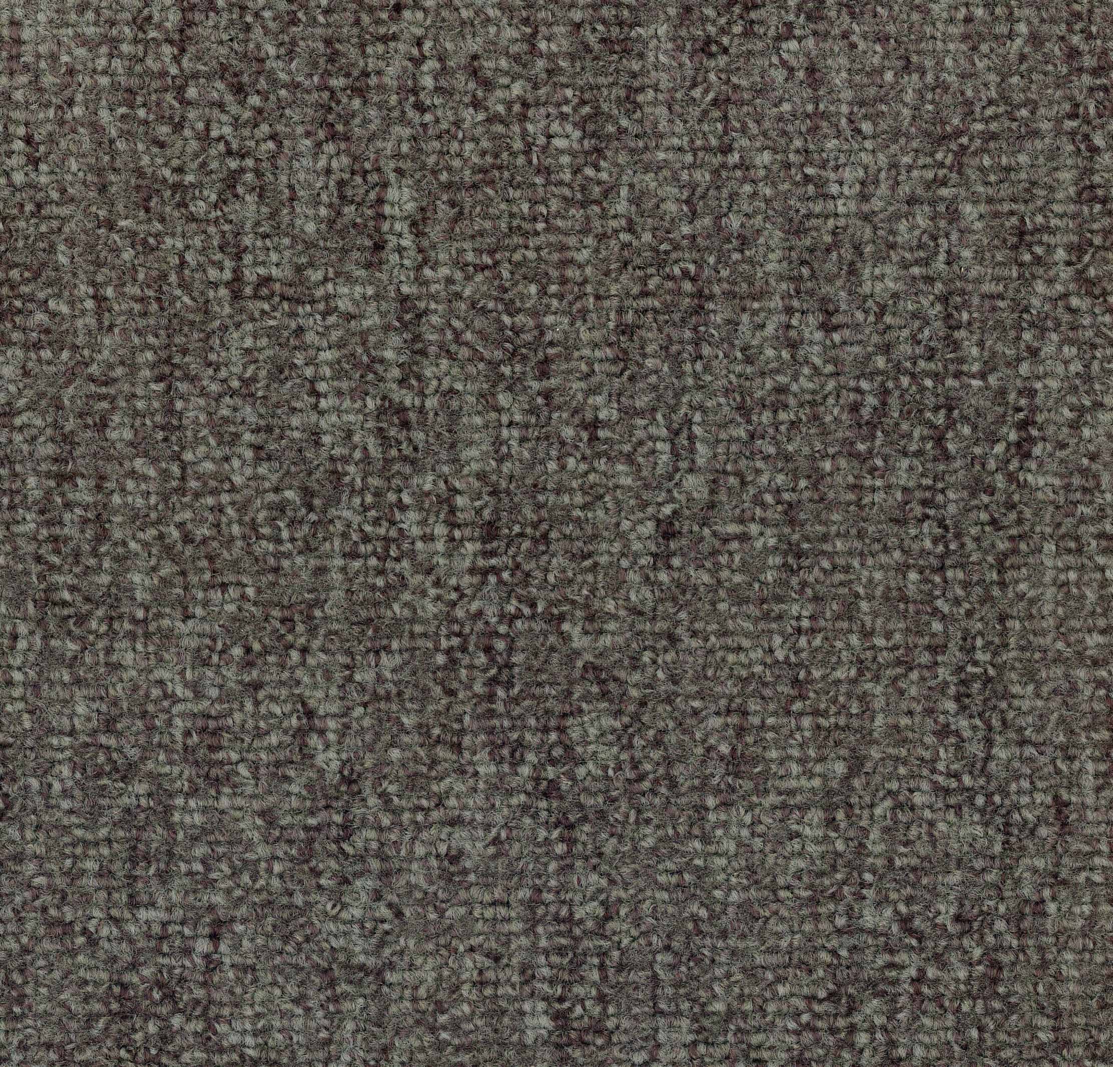 1348_Broad Foundation_1342_Material_Carpet_Workstations