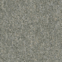 1348_Broad Foundation_CARPET PLAIN