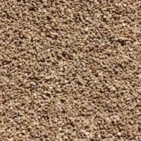 0823_Isla Vista Housing_brown-pea-gravel